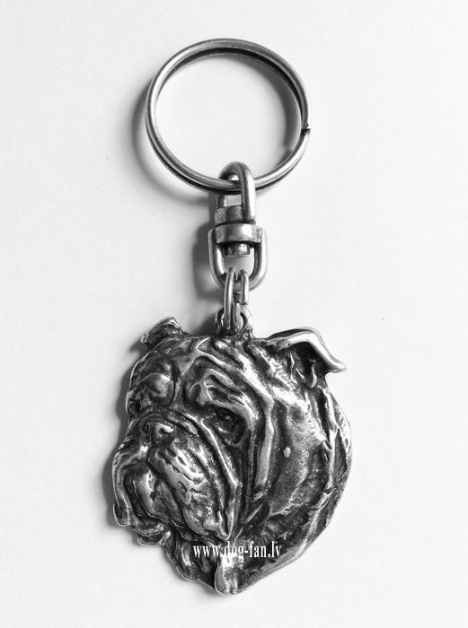 Bulldog1 copy